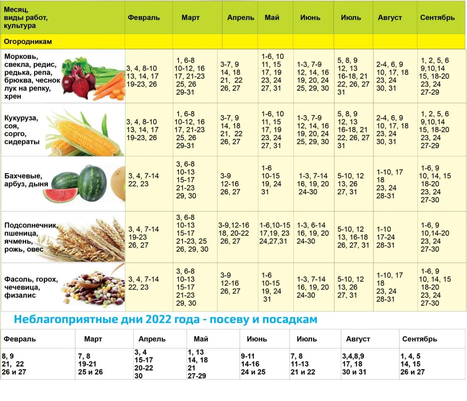 Посевной календарь для сибири на 2024г август