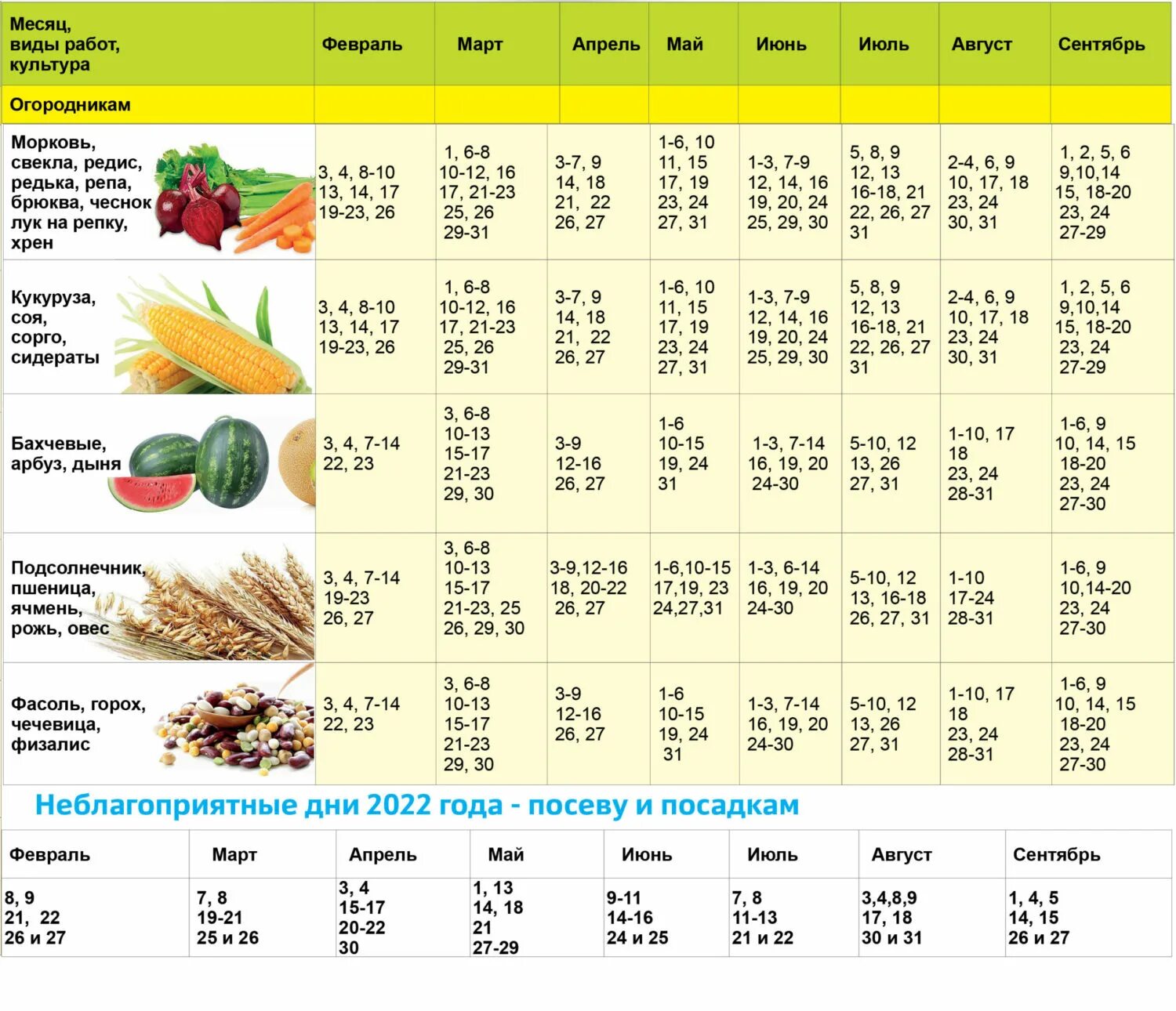 Посадочный календарь на сентябрь 2024 года Календарь 2024 года посева семян