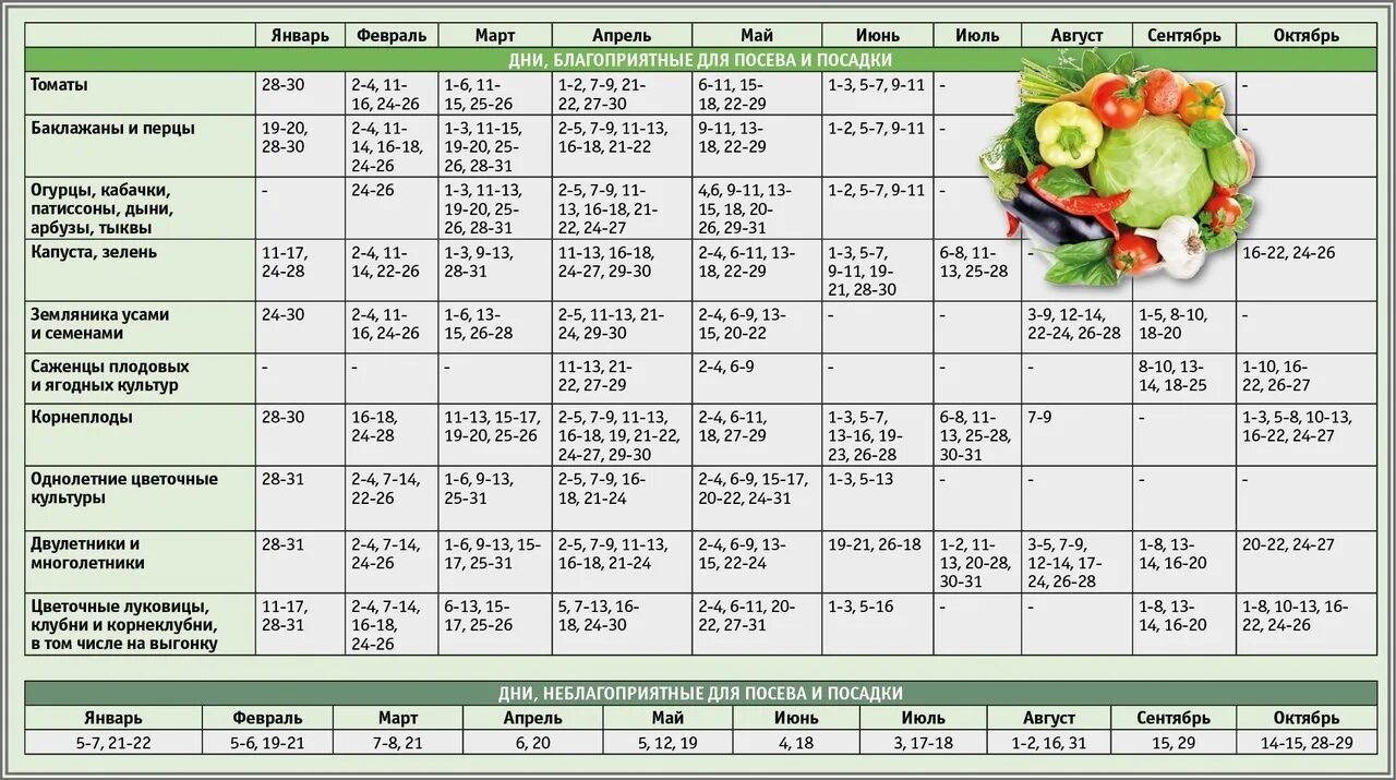 Посадочный календарь на сентябрь 2024 года чеснока Посевной календарь на июль месяц 2024