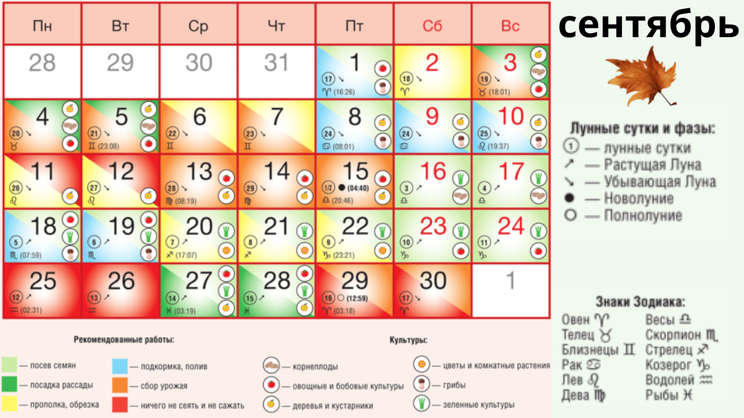 Посадочный календарь на сентябрь 24 года лунный Дата посадки может сильно повлиять на урожай! Лунный посевной календарь садовода