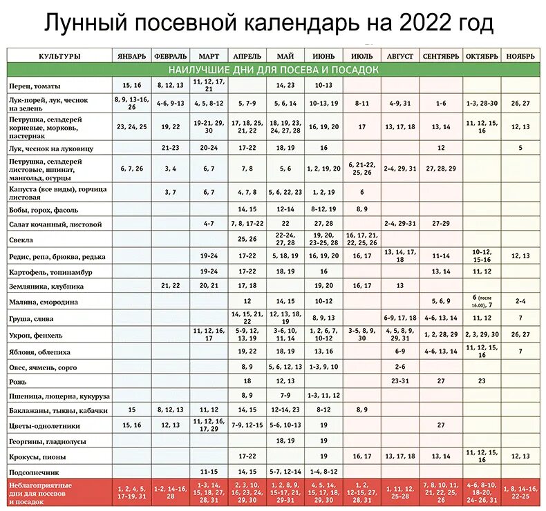 Посадочный календарь огородника на 2024 год Календарь садовода и огородника на 2024