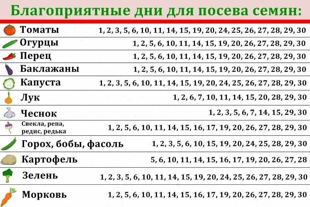 Посадочный календарь огородника на 2024 год Посадочный календарь по подмосковью 2024г