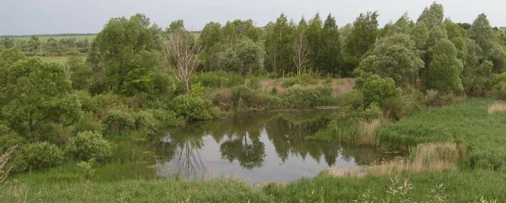 Фото. Дом в Семикино - Сосновский район