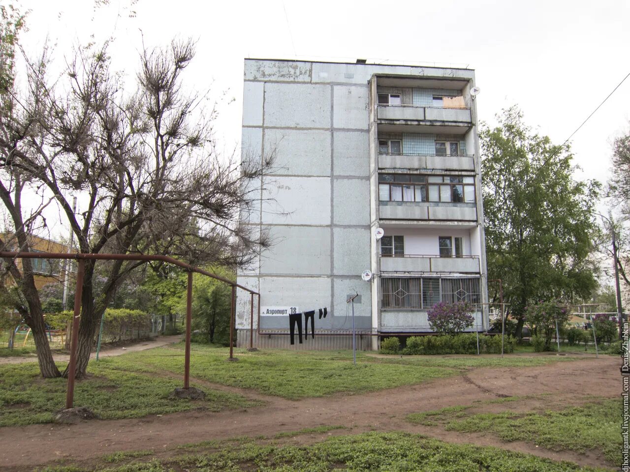 Поселок аэропорт волгоград фото Цветёт сирень