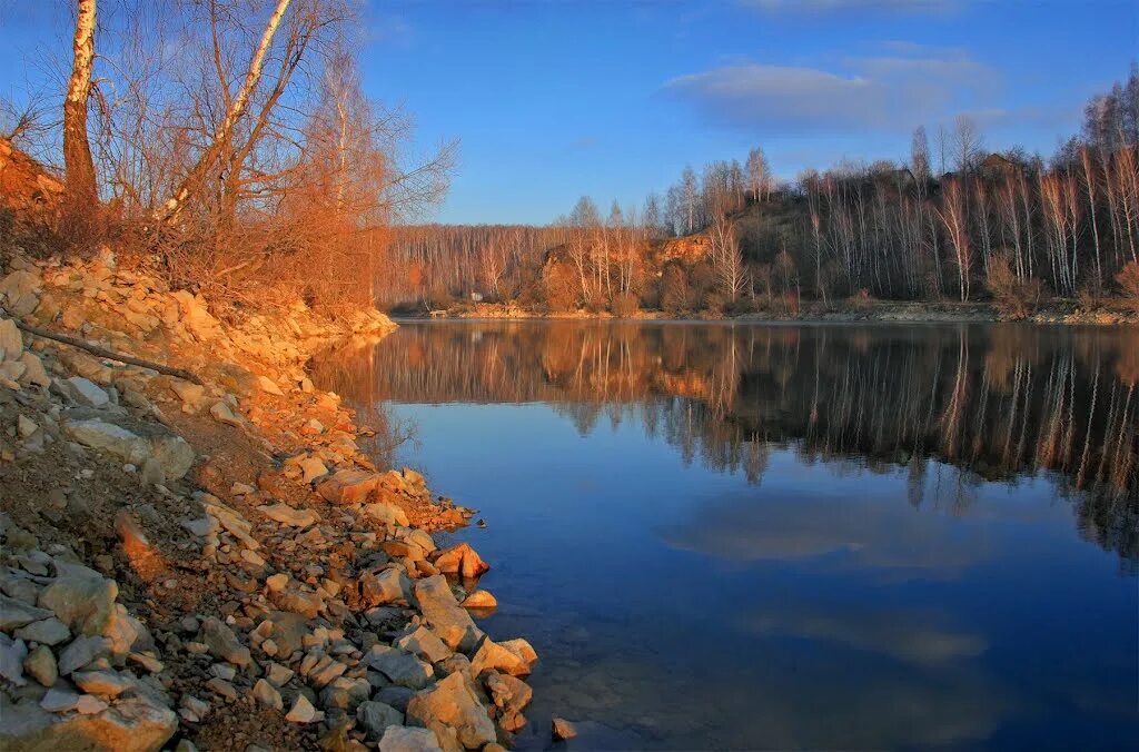 Тульская ленинский барсуки