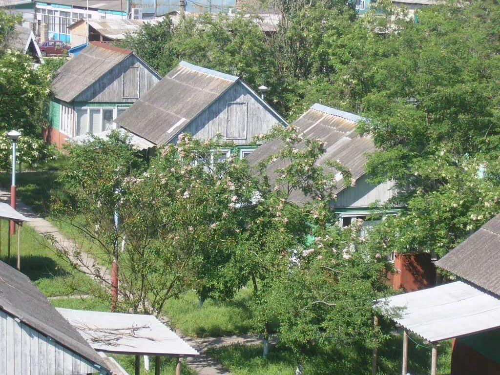 Поселок большевик фото Більшовик з panoramio.com - Большевик