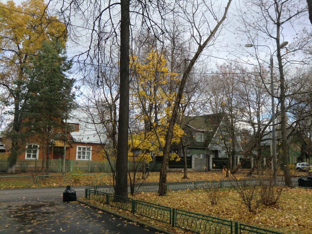 Поселок художников фото Москва. Сокол. Поселок Художников - почти дачный квартал Заяц путешественник Дзе