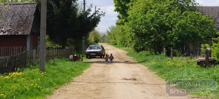 Поселок каменецкий фото В деревне Любашки Каменецкого района пропал ребёнок