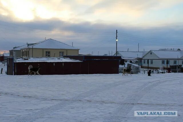 Поселок каменный фото Мыс Каменный,полуостров Ямал - ЯПлакалъ