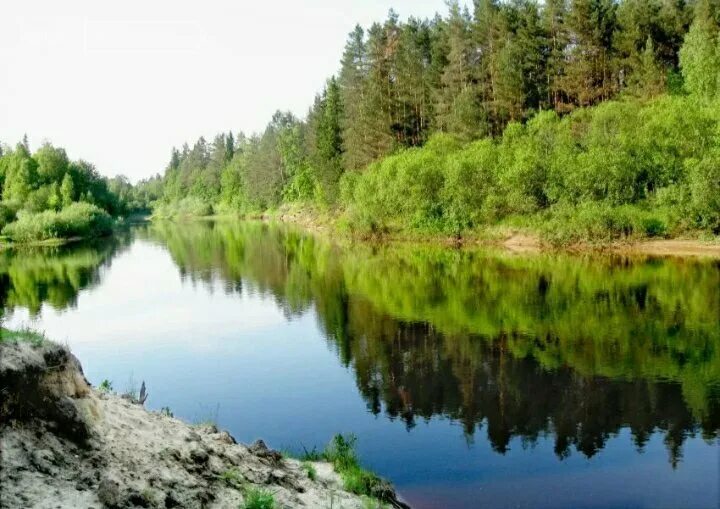 Поселок керженец нижегородская область фото Купить участок 17 соток по адресу Нижегородская область, городской округ Бор, се