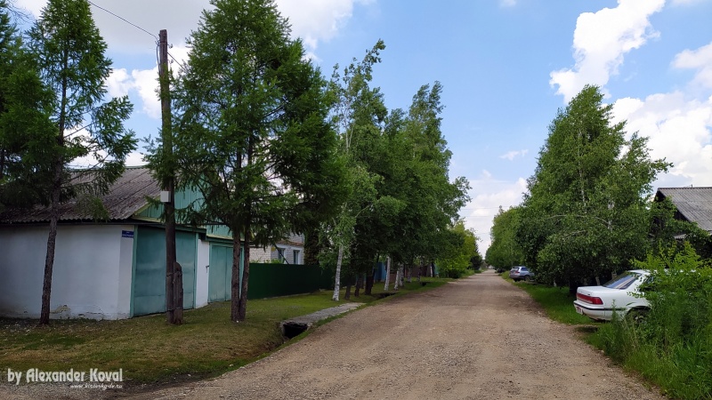 Поселок кировский фото Виноградная улица в посёлке Кировский - Кировский муниципальный район Приморский