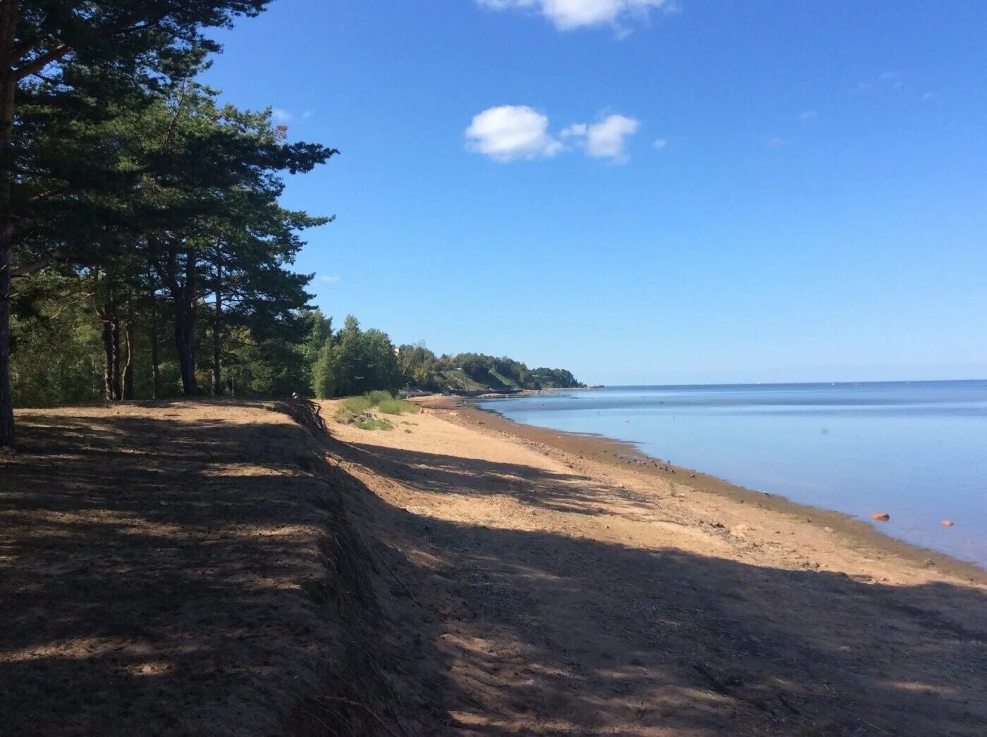 Поселок лебяжье фото Лебяжье ломоносовский район фото YugNash.ru