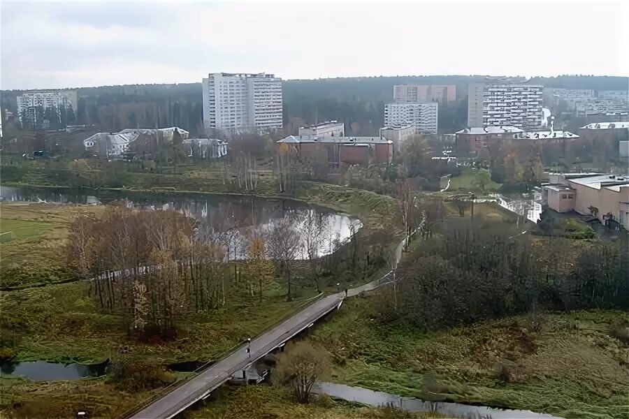 Поселок менделеево фото В Менделеево объявлен карантин по бешенству Зеленоград, новости