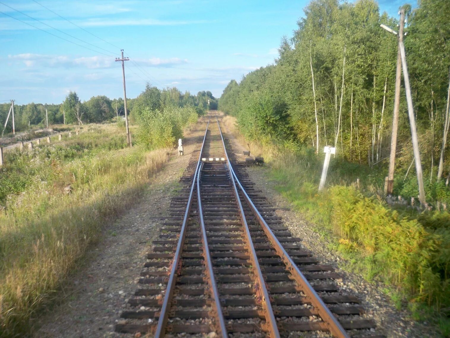 Поселок неболчи новгородская область фото Железнодорожная линия Окуловка - Неболчи - фотографии, сделанные в 2013 году (ча