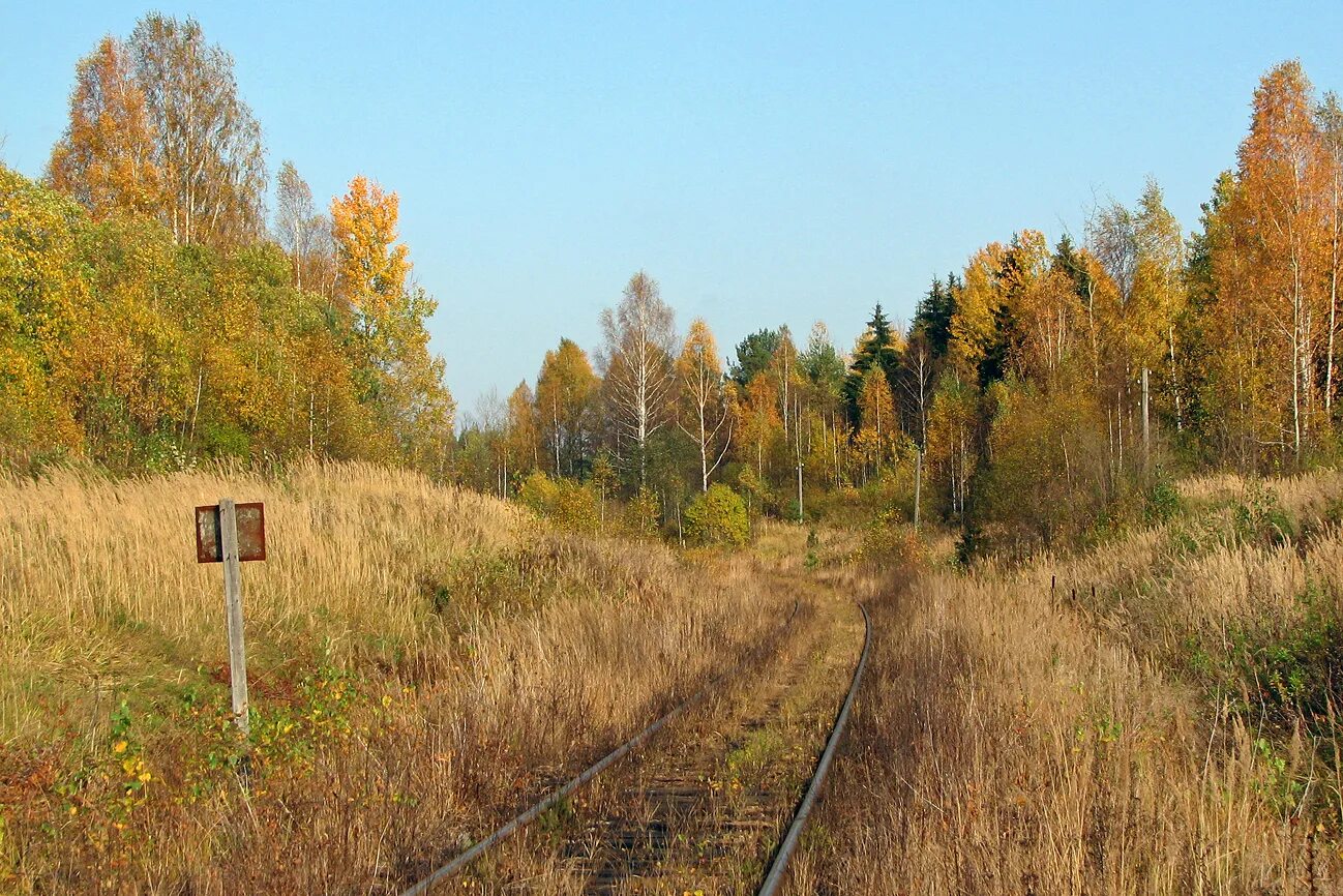 Поселок неболчи новгородская область фото October Railway - Stations & ways - Photo - RailGallery