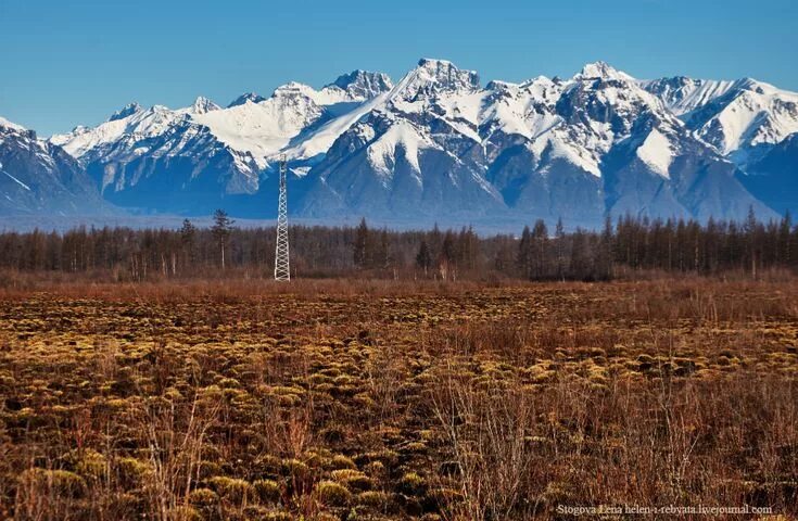 Продажа и аренда Недвижимость РЖД