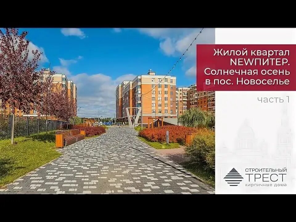 УШП в Новоселье Андрей Шанс