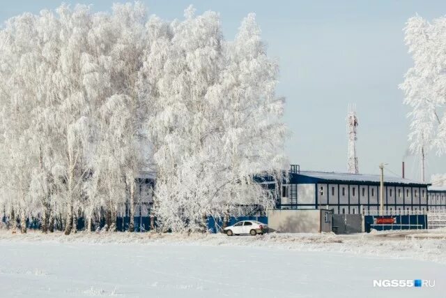 Поселок омский фото Как живут 1500 китайцев под Омском - ЯПлакалъ