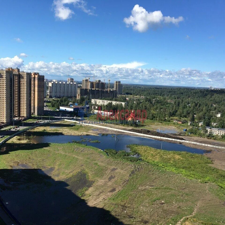 Поселок парголово санкт петербург фото Снять 1-к. квартиру в Выборгский район Санкт-Петербург за 20000 рублей/месяц (№ 