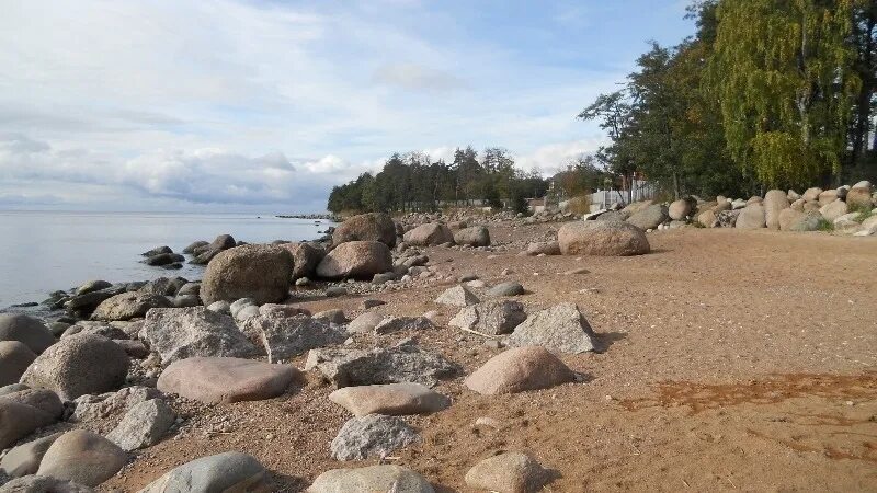 Поселок пески выборгский район фото Погода пески ленинградская область выборгский