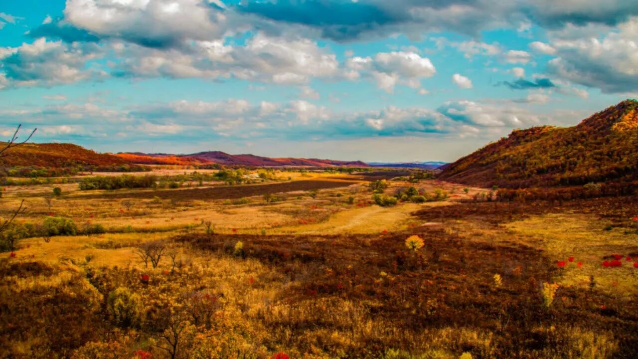 Поселок пограничный приморский край фото Приморский край Пограничный район село Богуславка - YouTube