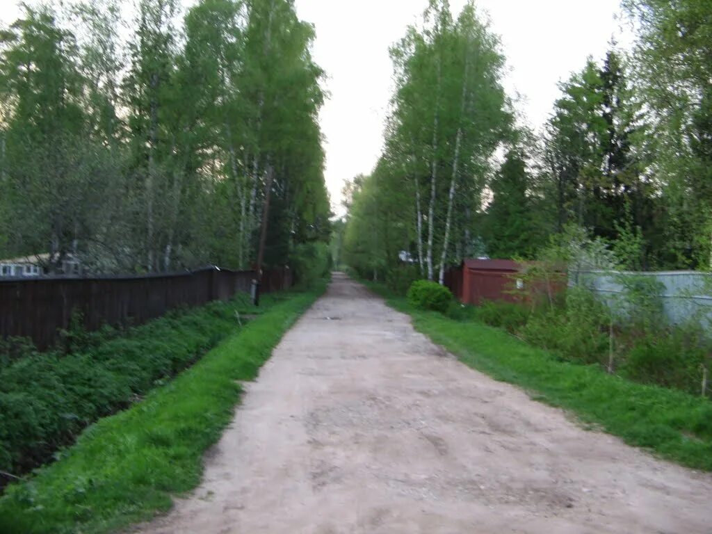 Поселок правдинский фото Фото Дачный поселок "Серп и Молот" в городе Правдинский