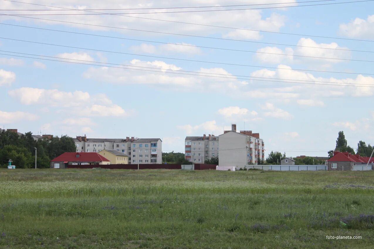 Поселок разумное фото п. Разумное. Белгородский район Фотопланета