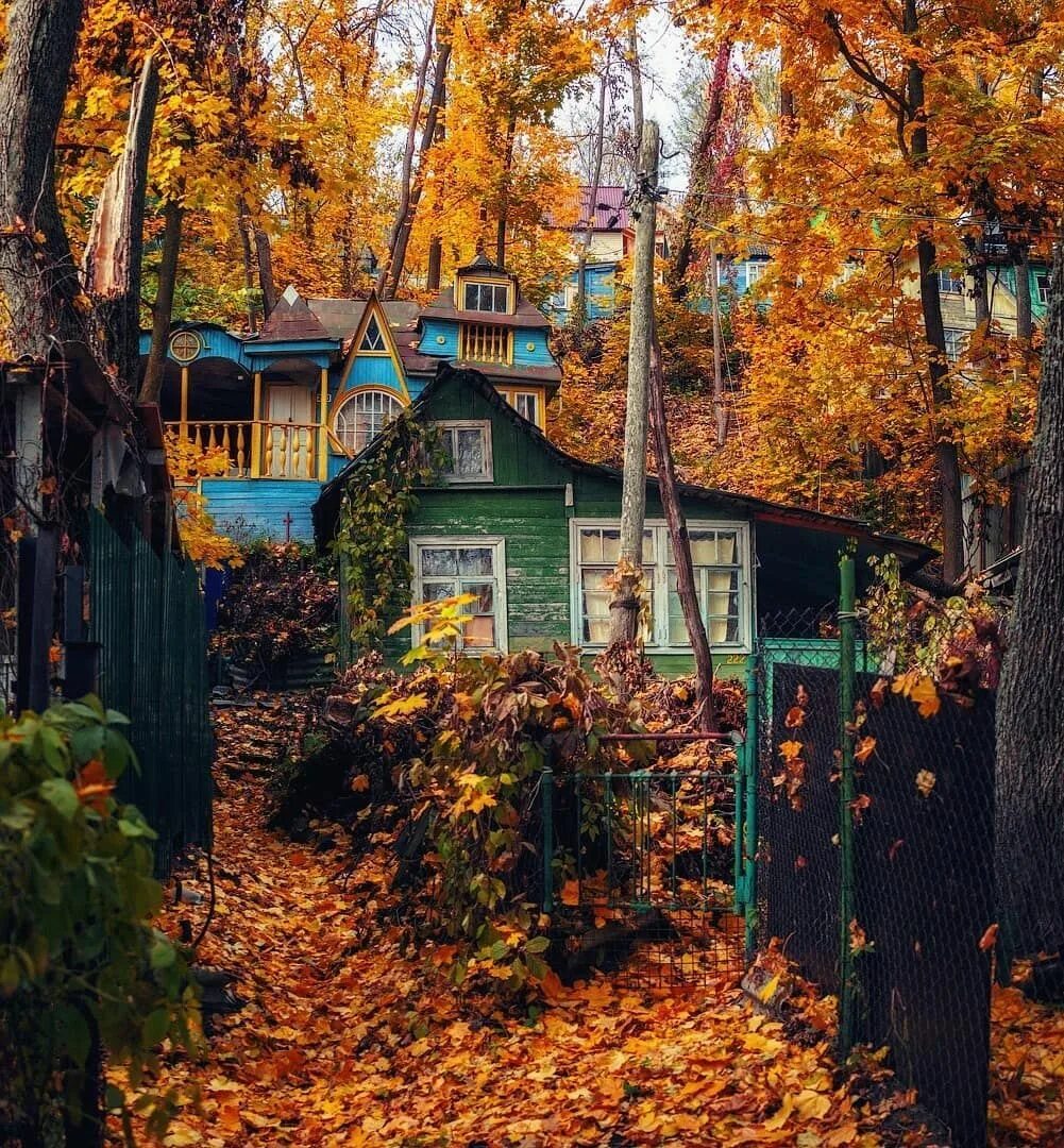 Поселок рыбачий воронеж фото осень Nikon Russia on Instagram: "Буйство красок в объективе @timur.podkolzin, победит