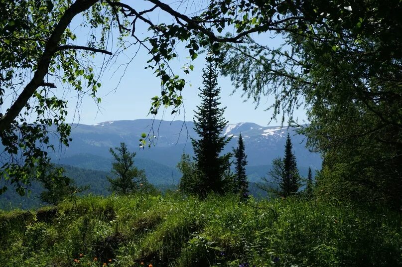 Поселок седьмое небо алтай фото Экопоселок седьмое небо