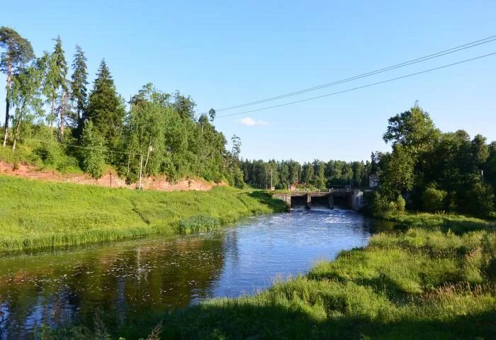 Поселок сиверский фото Сиверский