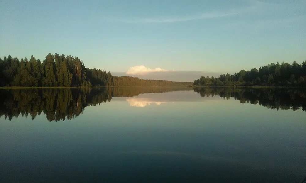 Поселок суда фото Величественная и прекрасная река Суда - Фото № 214908