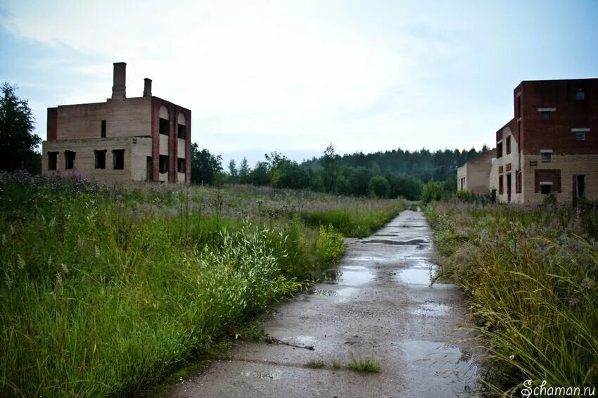 Поселок центральный фото Лихачево Гурий Дзен