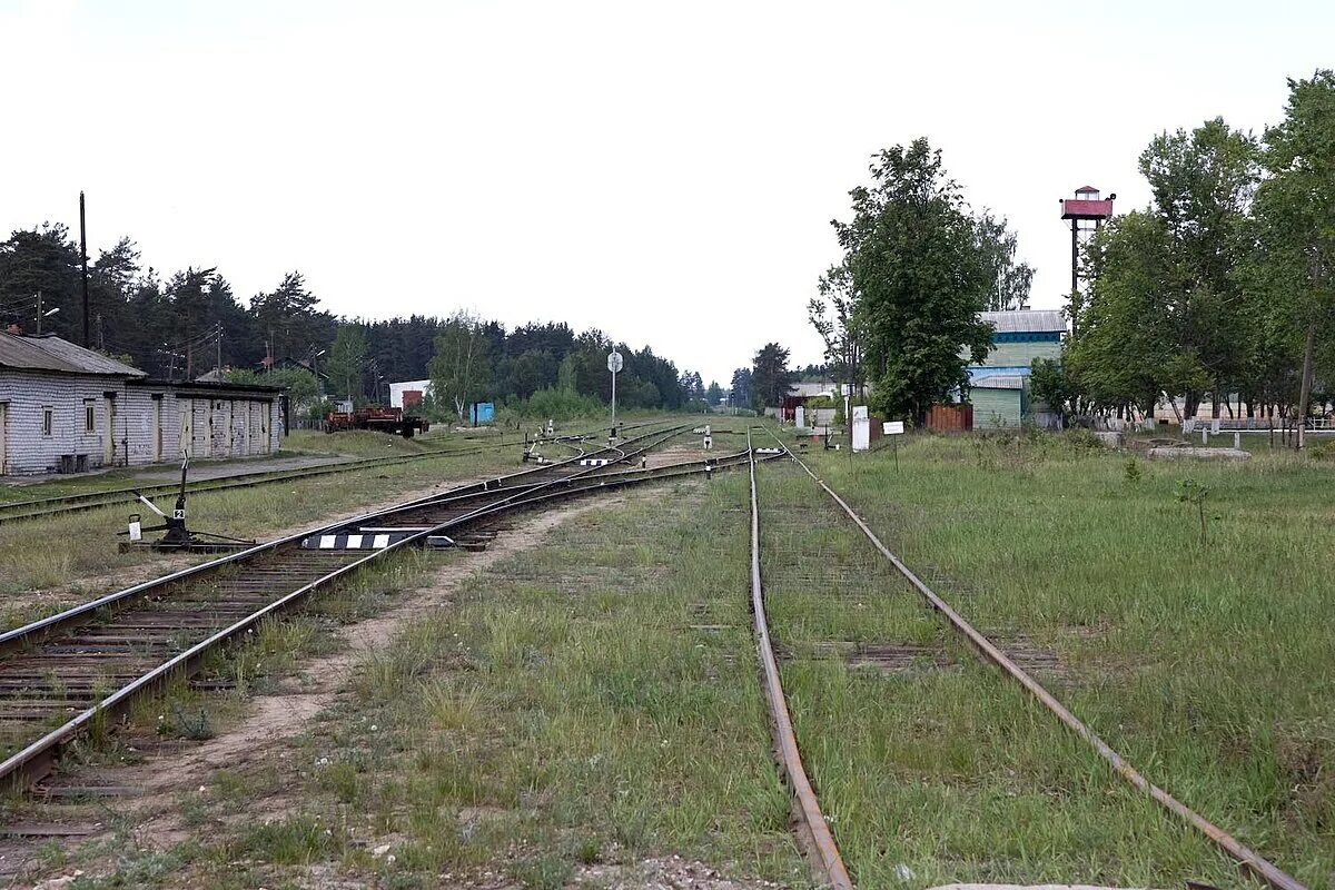 Поселок центральный нижегородская область фото Tsentralny, Volodarsky District, Nizhny Novgorod Oblast - Wikipedia