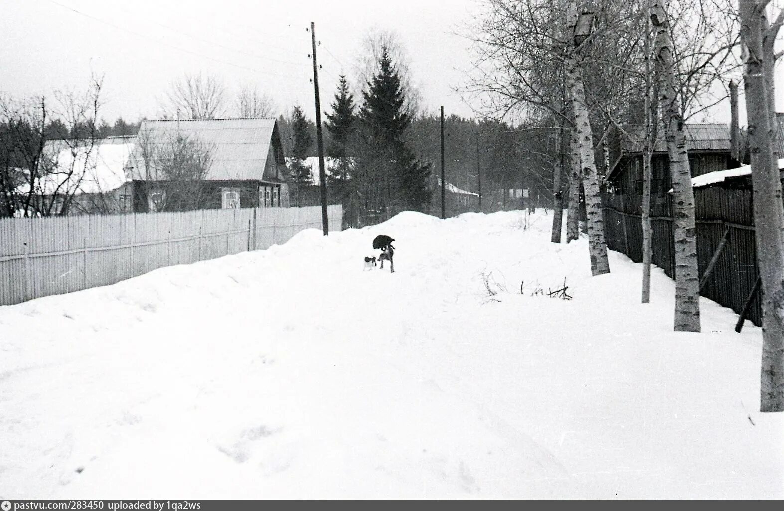 Поселок толстопальцево фото военного времени Толстопальцево - Retro photos