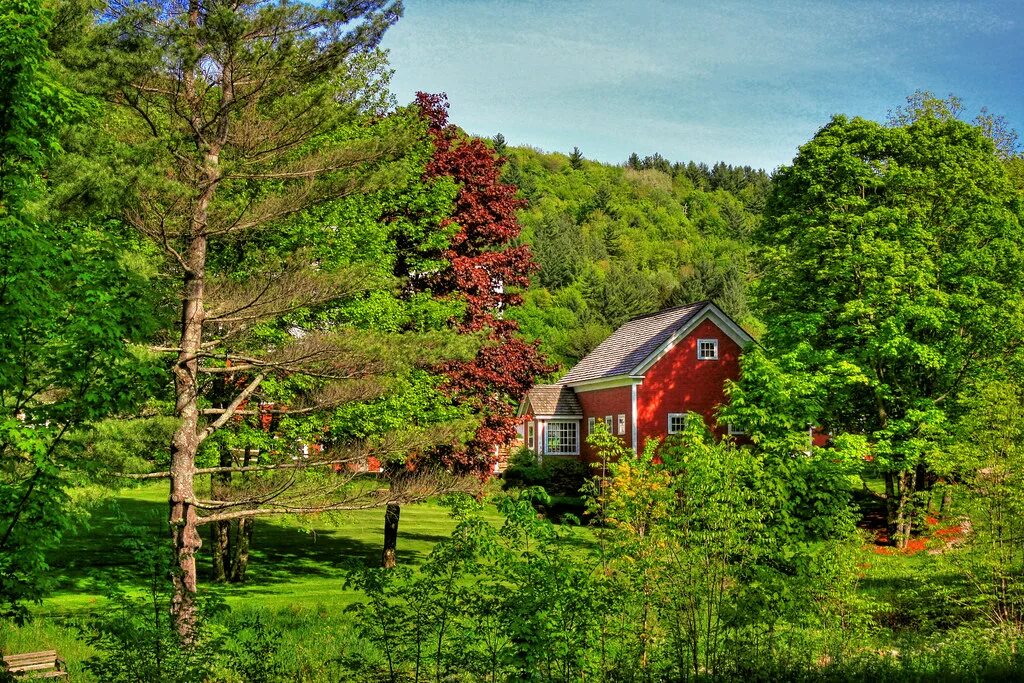 Поселок в лесу фото Pittsfield VT. - Tweed River - Riverseid Farms 02 The Rive. Flickr