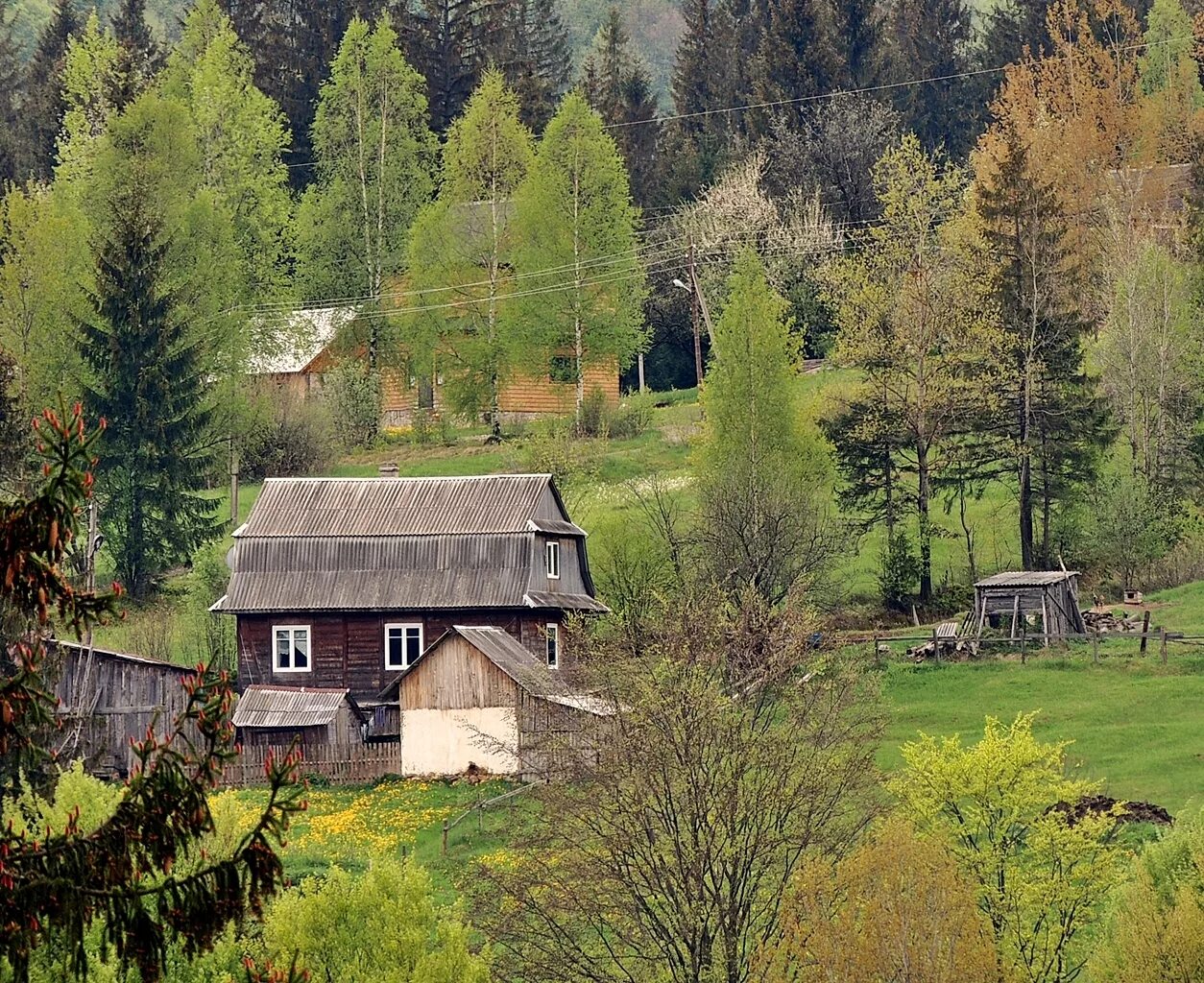 Поселок в лесу фото Жизнь в лесной деревне