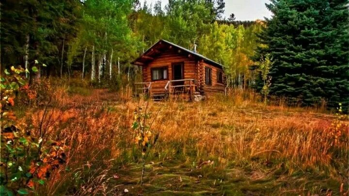 Поселок в лесу фото Pin by Karen Feagle on Country! Old cabin, Cabin life, Barns sheds