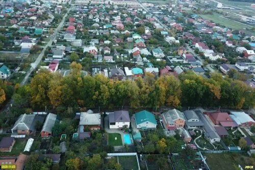 Поселок южный краснодарский фото Уникальная посадка орехов Кария пекан в пос. Южный (Динской район) Экологическая