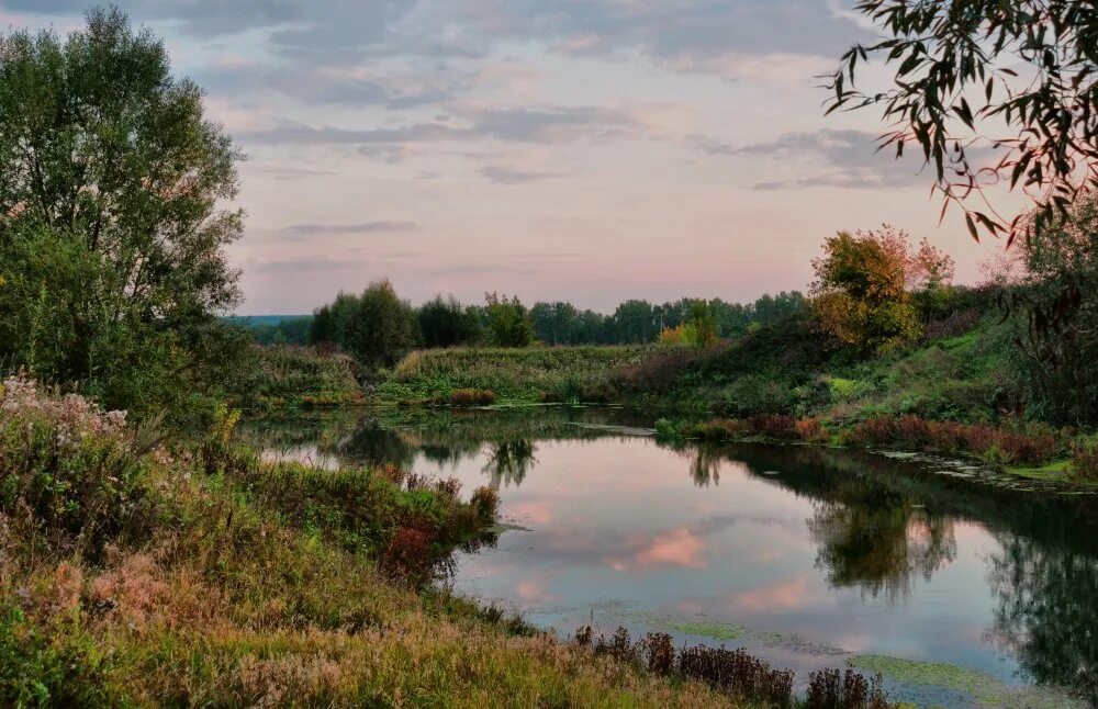 Поселок затишье фото Вечер. Затишье. - Фотография - Пейзажи