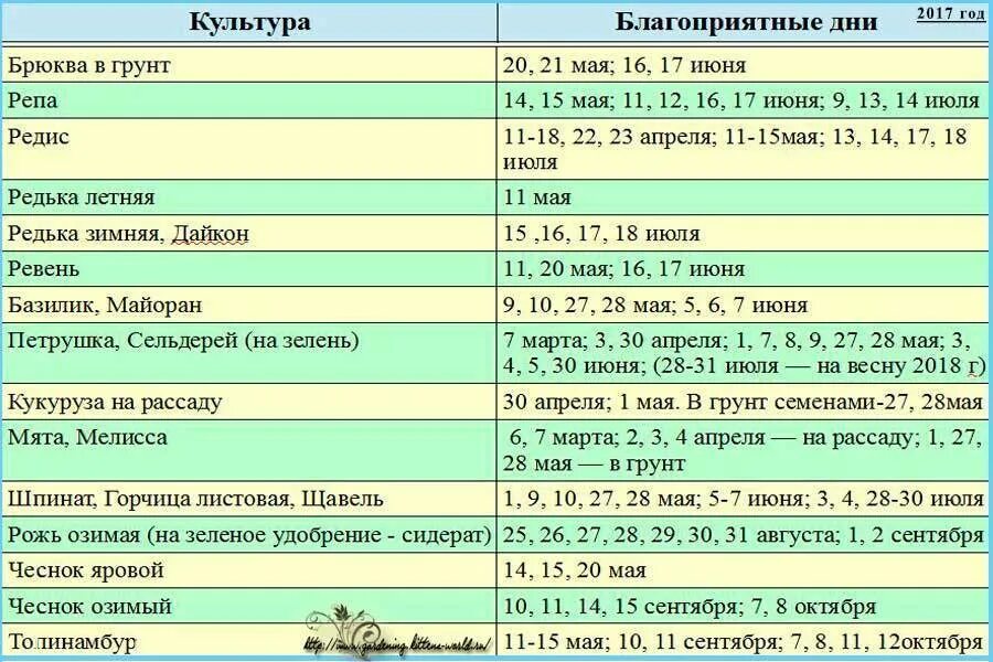 Посев чеснока под зиму по лунному календарю Когда копают чеснок в России: сроки сбора урожая в зависимости от сорта и регион