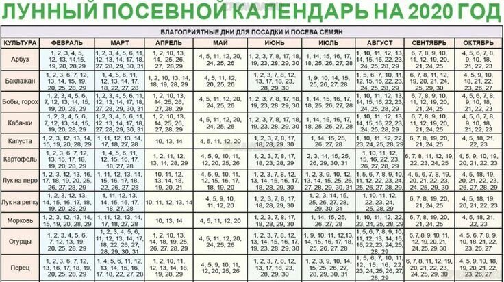 Посевной календарь на 2020 года садовода Лунный посевной календарь на 2020 год: Таблица благоприятных дней для посадки ра