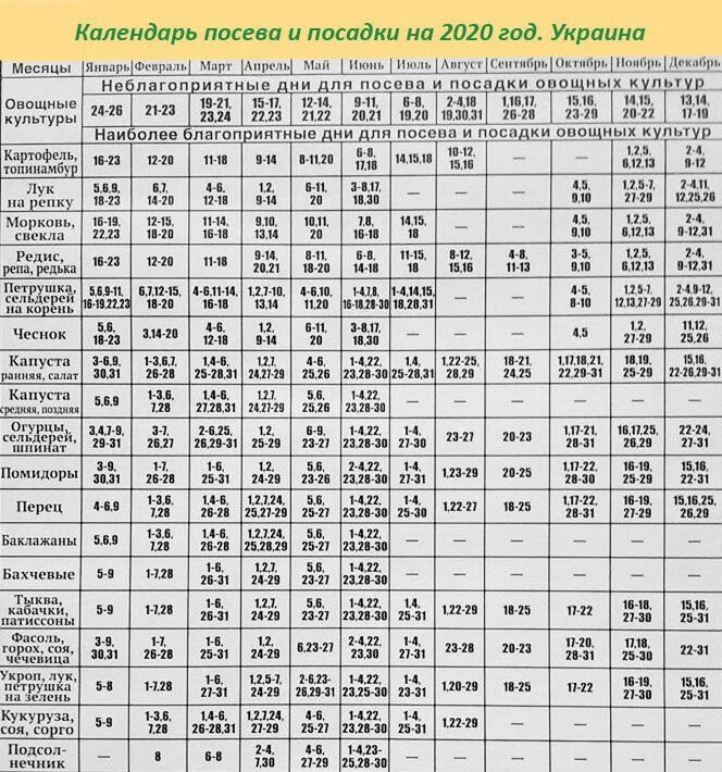 Посевной календарь на 2020 года садовода Лунный посевной календарь 2020, Украина. Садоводу, огороднику на заметку Дача Pe