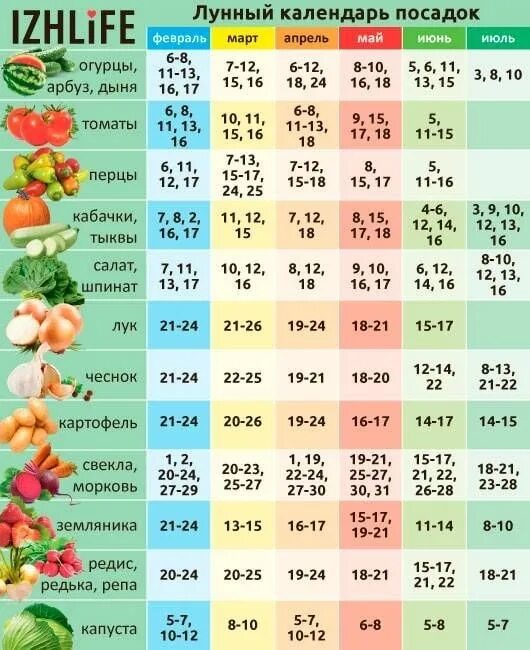 Посевной календарь на 2023 год садовода Перец томаты посевной календарь