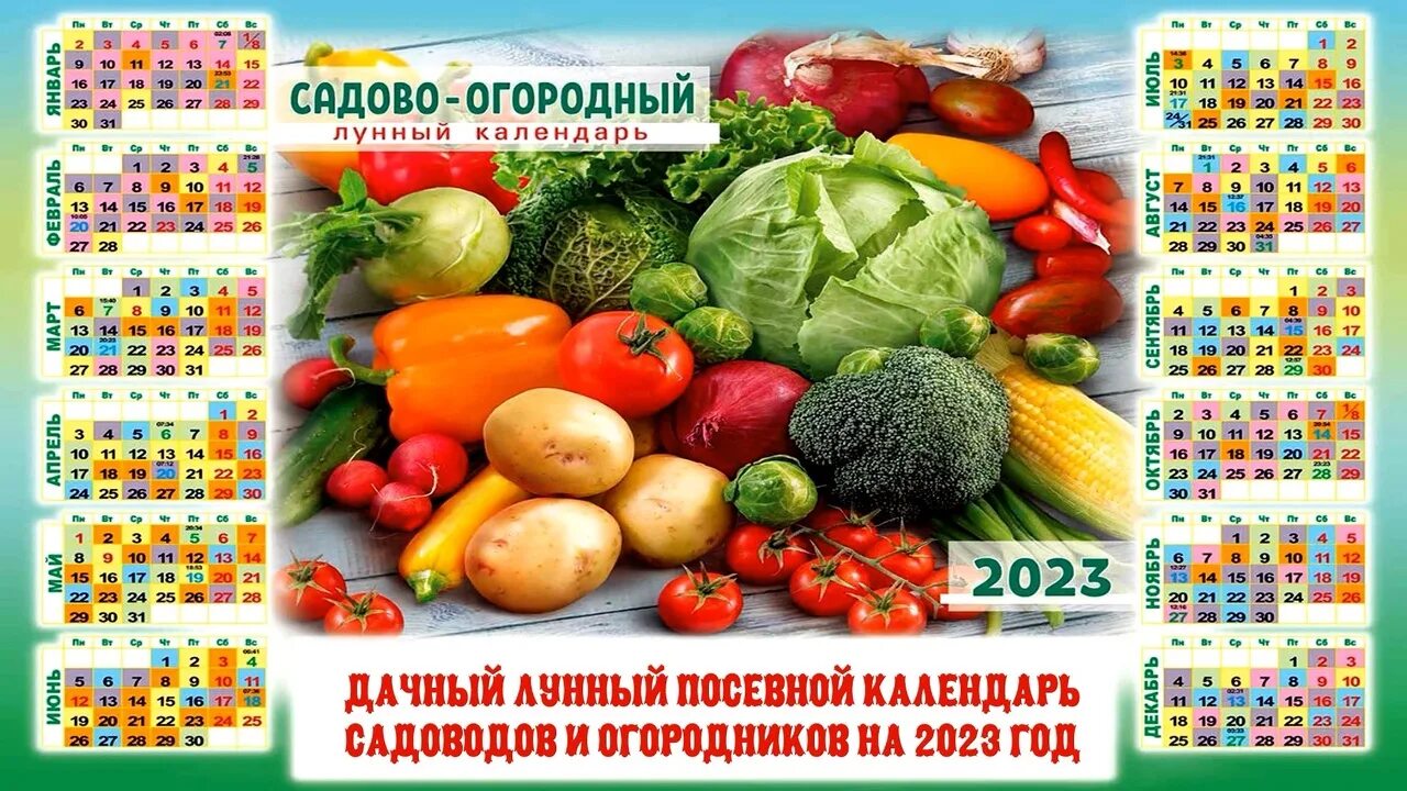 Посевной календарь на 2024 год подмосковье Посевной календарь на апрель 2024г московская область - найдено 85 картинок