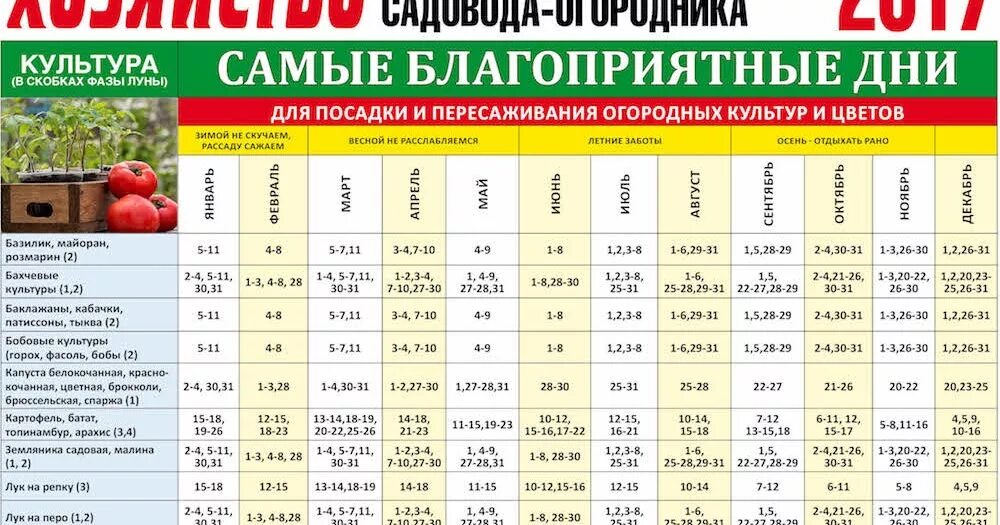 Посевной календарь на 2024 год садовода Календарь садовода огородника на апрель 2024 года: найдено 72 изображений