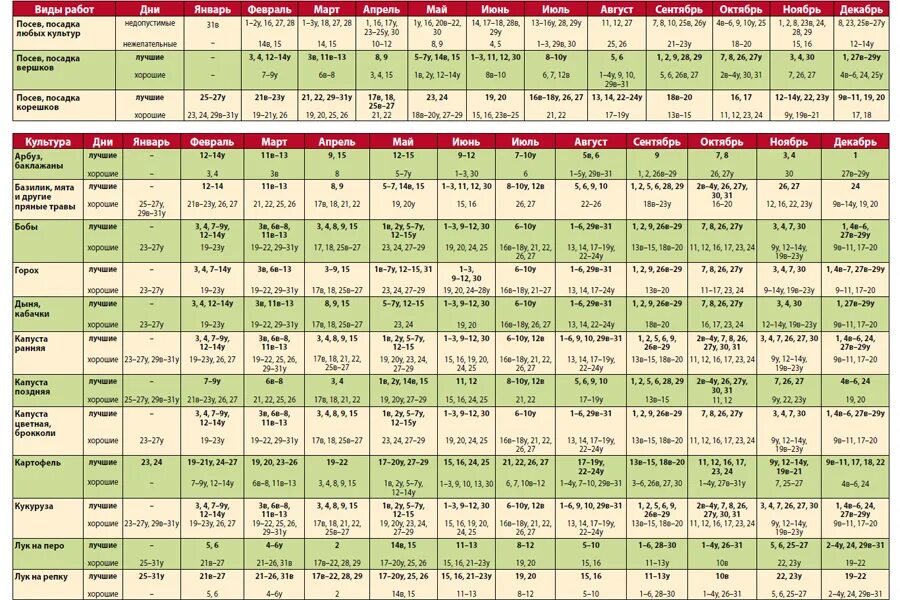 Посевной календарь на 24 год Лунный календарь работ садовода-огородника на 2022 год