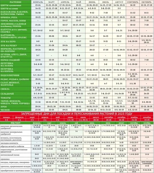 Посевной календарь на 24 год Посевной календарь на 2023 год