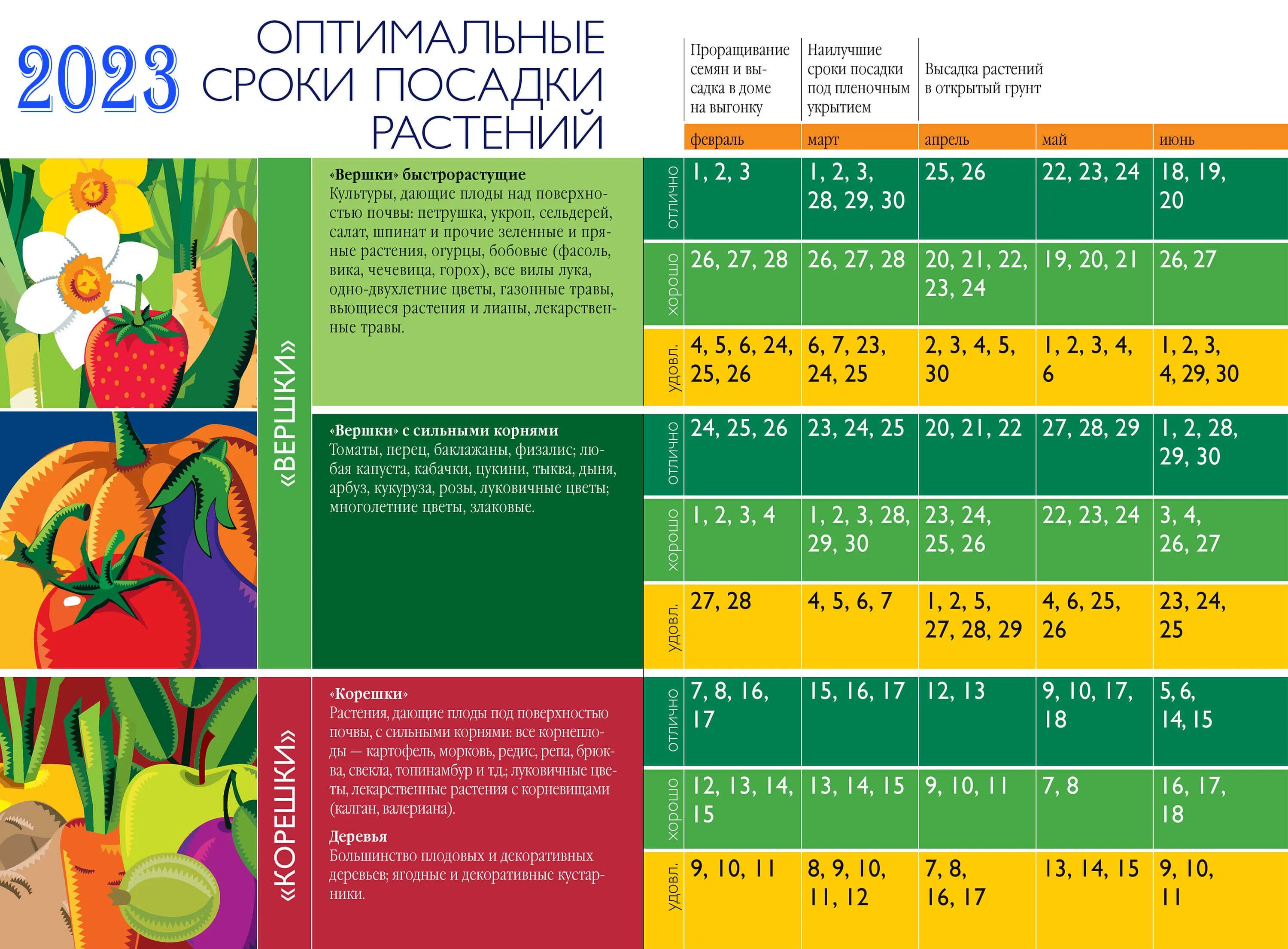 Посевной календарь на октябрь месяц 2024 года Лунный посевной календарь садовода, огородника и цветовода на 2023 год