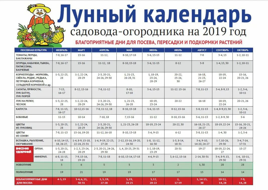 Посевной календарь на октябрь месяц 24 года Лунный посевной календарь садовода и огородника на 2019 год - АГРАРИЙ