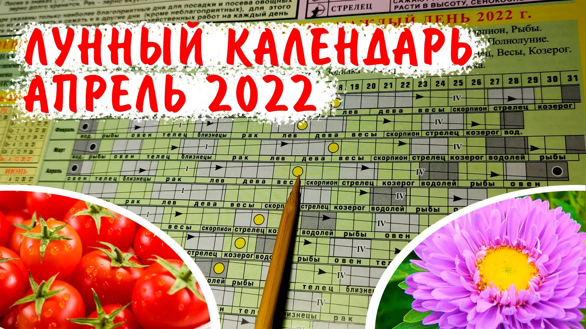 Календарь 2024 г., Листовой, 40 x 60 см - купить с доставкой по выгодным ценам в